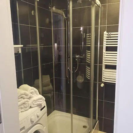 Apartlux Self Check-in 24h דירה פוזנן